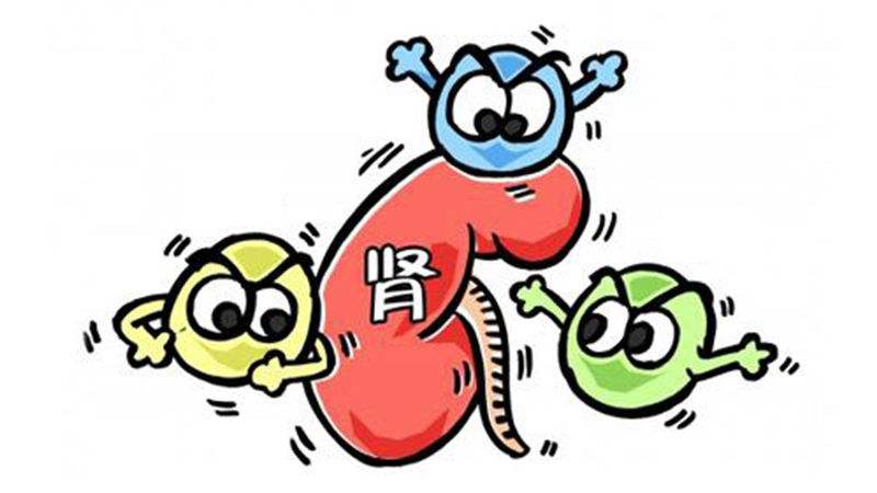 肌酐高